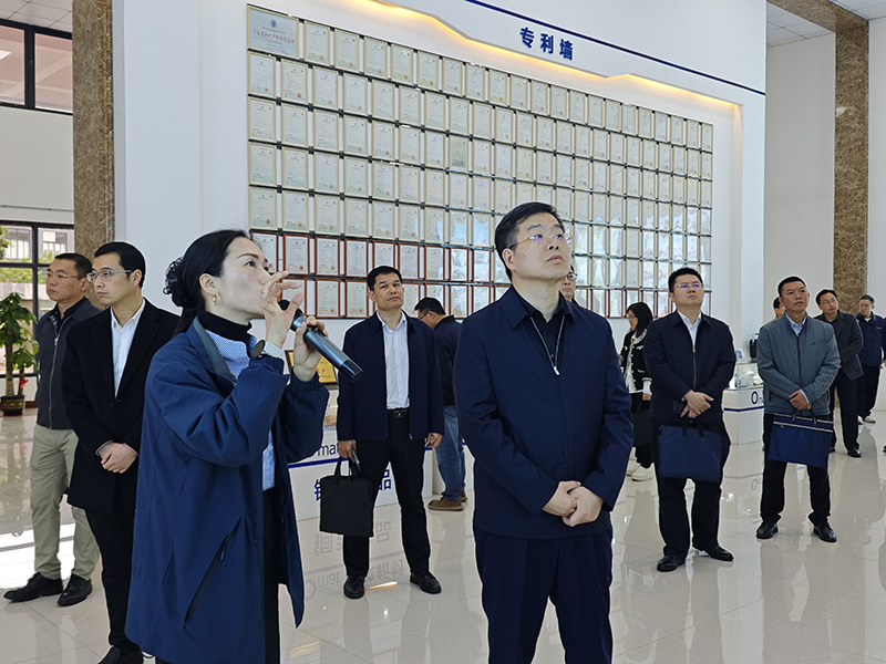 Guangdong Provincial HRSS Department Deputy Director Huang Yi Investigates Omat