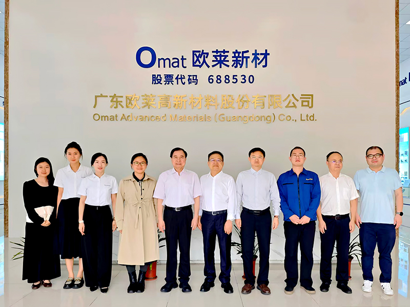 Wuhan University of Science and Technology Delegation Visits Omat